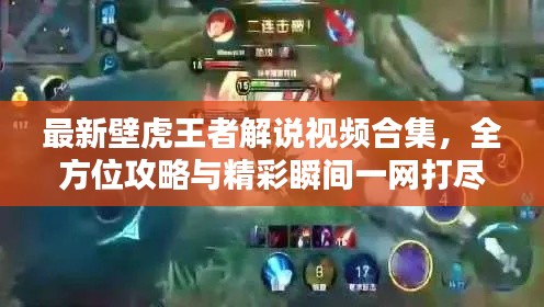 最新壁虎王者解说视频合集,全方位攻略与精彩瞬间一网打尽