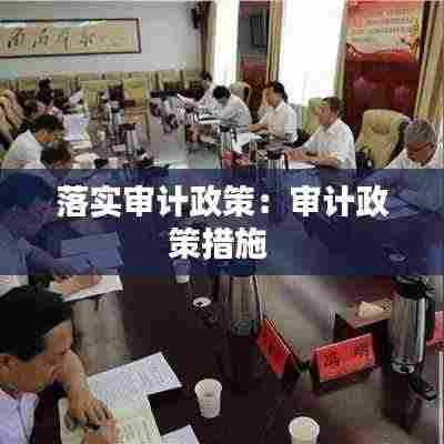 落实审计政策:审计政策措施