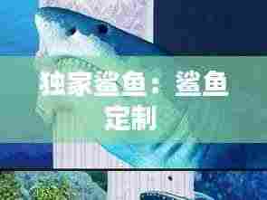 独家鲨鱼:鲨鱼定制
