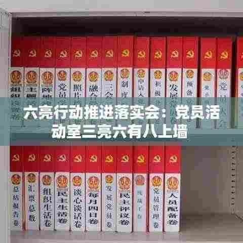 六亮行动推进落实会：党员活动室三亮六有八上墙 