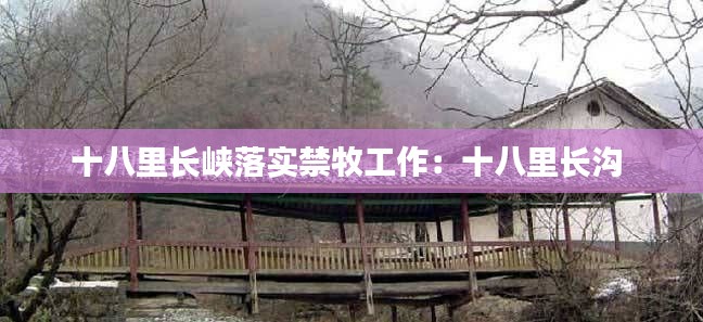 十八里长峡落实禁牧工作:十八里长沟