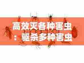 高效灭各种害虫:驱杀多种害虫