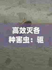 高效灭各种害虫:驱杀多种害虫