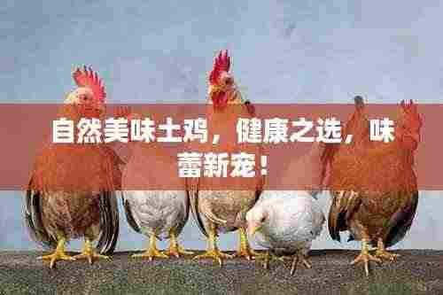 自然美味土鸡，健康之选，味蕾新宠！