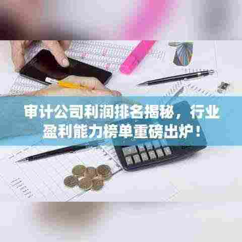审计公司利润排名揭秘，行业盈利能力榜单重磅出炉！