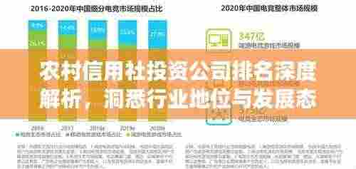 农村信用社投资公司排名深度解析，洞悉行业地位与发展态势