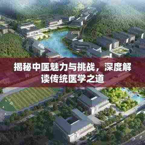 揭秘中医魅力与挑战,深度解读传统医学之道