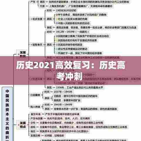 历史2021高效复习:历史高考冲刺