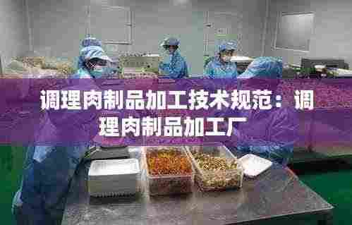 调理肉制品加工技术规范：调理肉制品加工厂 