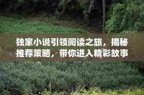 独家小说引领阅读之旅，揭秘推荐策略，带你进入精彩故事世界