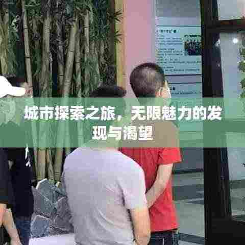 城市探索之旅,无限魅力的发现与渴望