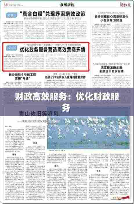 财政高效服务:优化财政服务