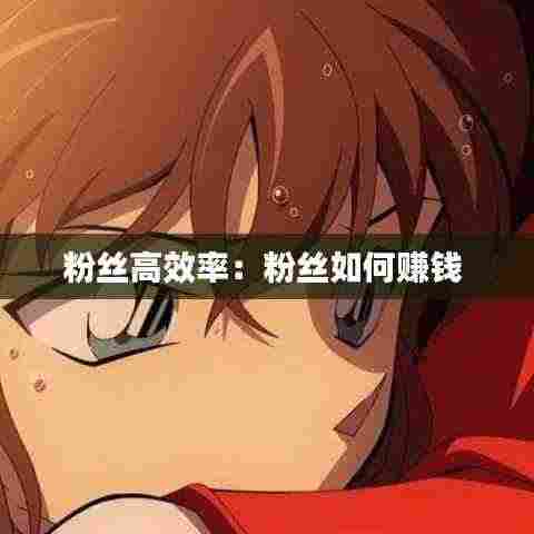 粉丝高效率:粉丝如何赚钱