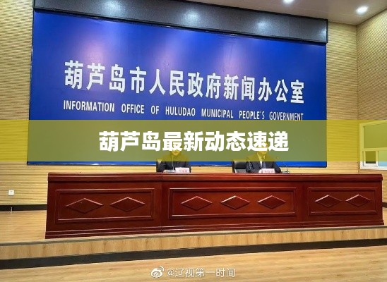葫芦岛最新动态速递