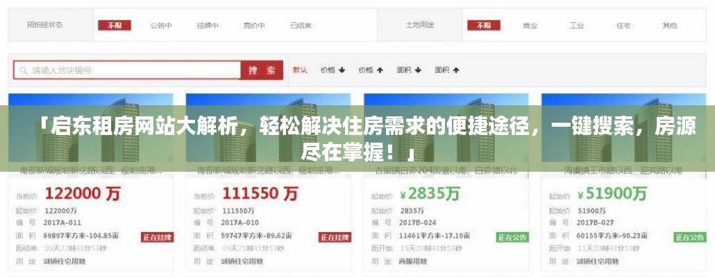 「启东租房网站大解析,轻松解决住房需求的便捷途径,一键搜索,房源尽在掌握!」