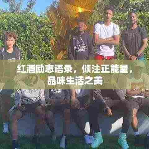 红酒励志语录,倾注正能量,品味生活之美