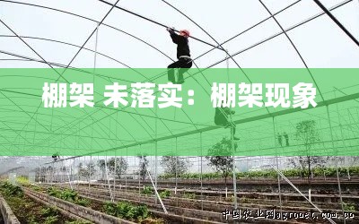 棚架 未落实:棚架现象