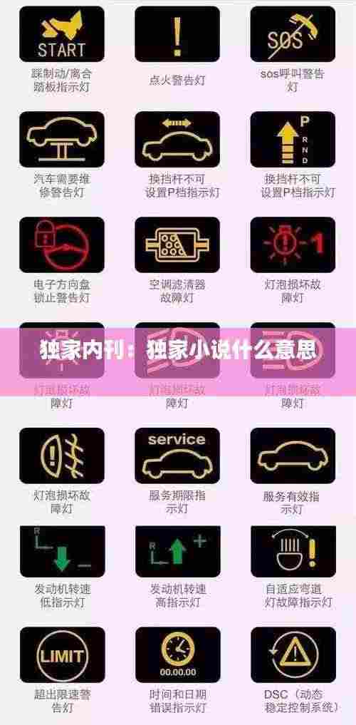 独家内刊:独家小说什么意思