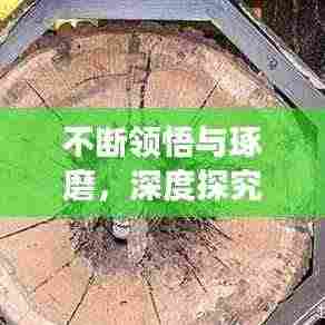 不断领悟与琢磨,深度探究的奥秘之旅