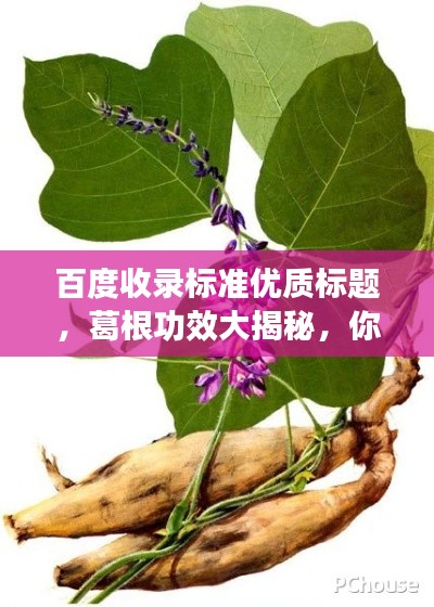 百度收录标准优质标题,葛根功效大揭秘,你不可不知的神奇作用!