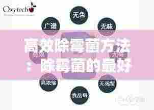 高效除霉菌方法:除霉菌的最好方法