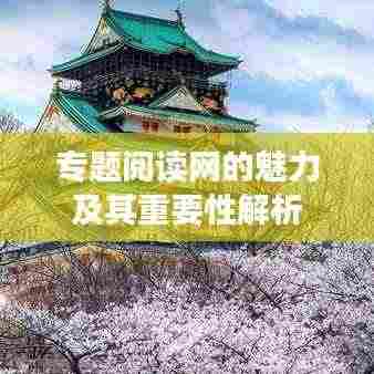 专题阅读网的魅力及其重要性解析