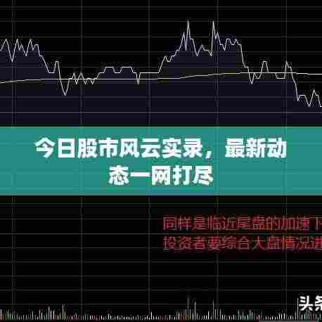 今日股市风云实录,最新动态一网打尽