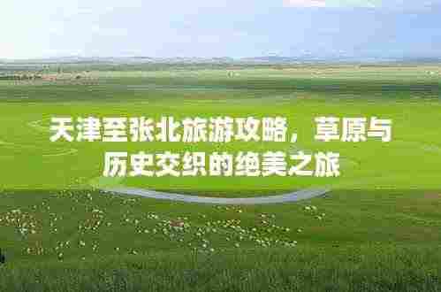 有气无力 第4页