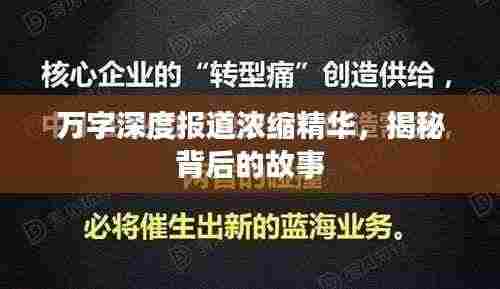 万字深度报道浓缩精华,揭秘背后的故事