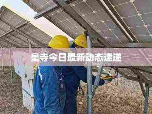 皇寺今日最新动态速递