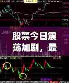 股票今日震荡加剧，最新市场动态及市场反应深度解析