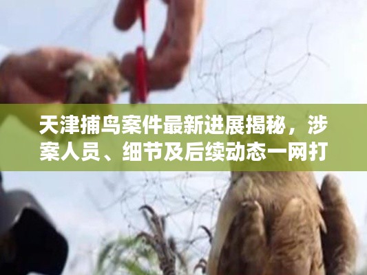 披沙拣金 第3页