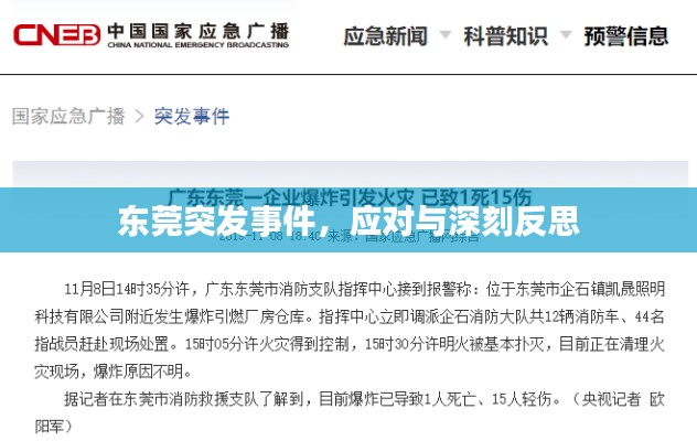 东莞突发事件,应对与深刻反思