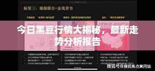 今日黑豆行情大揭秘,最新走势分析报告