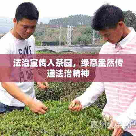 法治宣传入茶园,绿意盎然传递法治精神