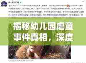 揭秘幼儿园虐童事件真相，深度探究背后的故事