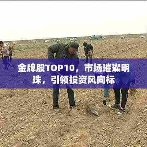金牌股TOP10,市场璀璨明珠,引领投资风向标