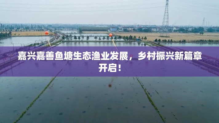 嘉兴嘉善鱼塘生态渔业发展,乡村振兴新篇章开启!