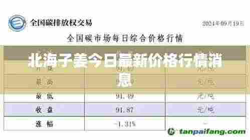 北海子姜今日最新价格行情消息