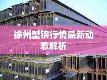 徐州型钢行情最新动态解析