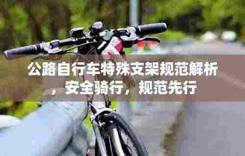 公路自行车特殊支架规范解析，安全骑行，规范先行