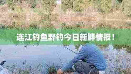 连江钓鱼野钓今日新鲜情报！