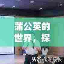 蒲公英的世界,探寻百度下的自然奥秘