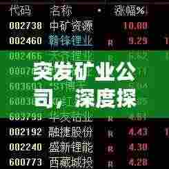 突发矿业公司,深度探索与突破发展之路