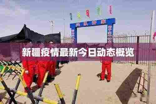 新疆疫情最新今日动态概览