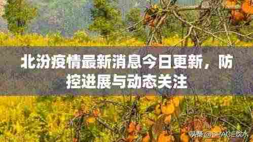 北汾疫情最新消息今日更新,防控进展与动态关注