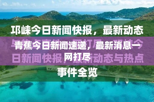 青蕉今日新闻速递,最新消息一网打尽