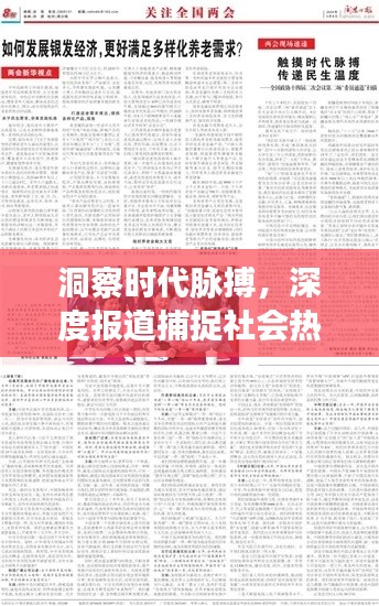洞察时代脉搏,深度报道捕捉社会热点热点深度解读