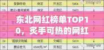 东北网红榜单TOP10,炙手可热的网红大咖揭秘!