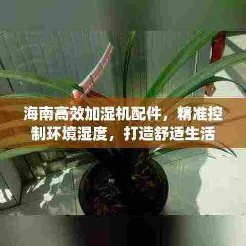 海南高效加湿机配件，精准控制环境湿度，打造舒适生活